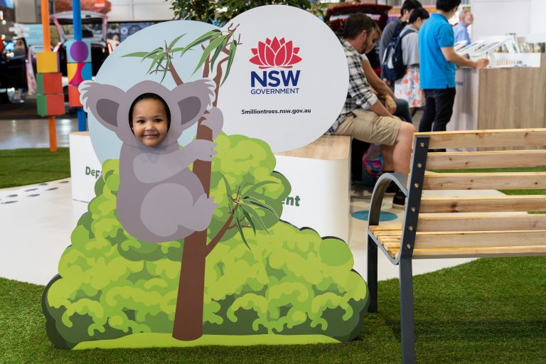 NSW DPE